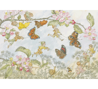 postkaart The Butterfly race (Molly Brett) 050