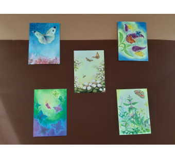 Set of 5 postal cards butterflies