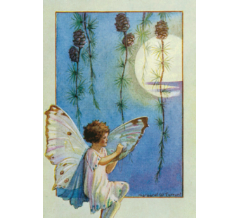 Postal card  Larch Fairy  (Audrey Tarrant) 016