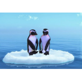 pinguins  (Atelier Pippilotta)