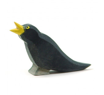 Ostheimer blackbird (16801)