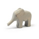 Ostheimer small elephant(20424)