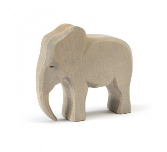 Ostheimer elephant bull (20420)